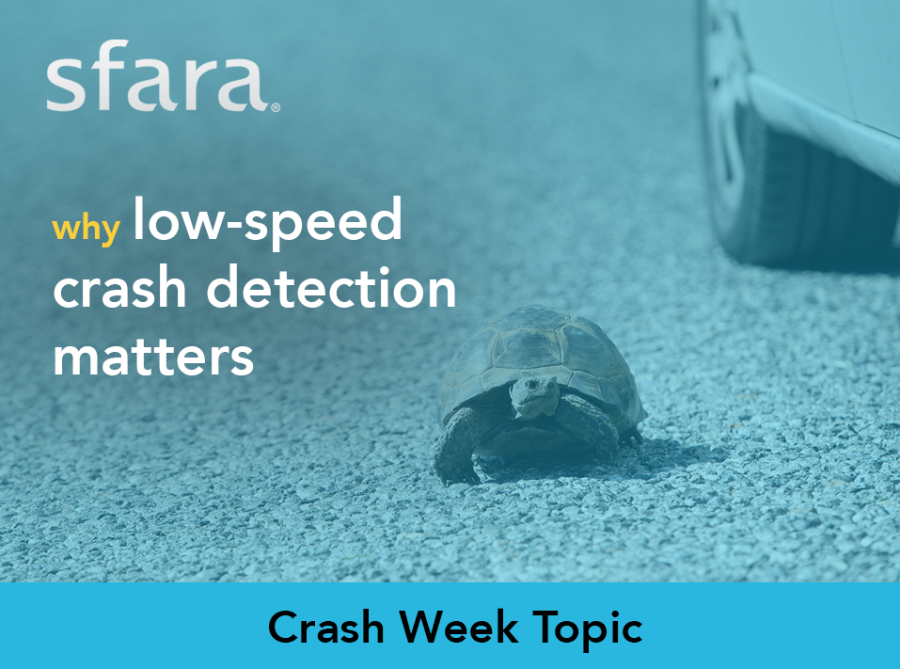 A turtle crosses the road next to a vehicle driving past.